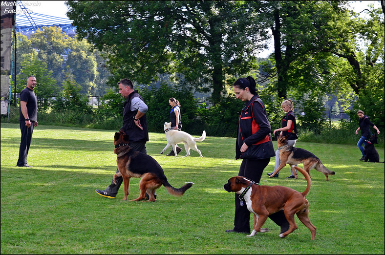 Trening z Jackiem Lewkowiczem