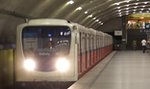 Horror! Pies przytrzaśnięty w metrze