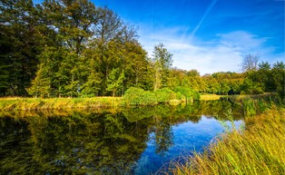 Ekohydrolog: Oczyszczanie wód pochodzących z rolnictwa jest konieczne