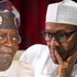 Without my support, Buhari wouldn't be president - Tinubu