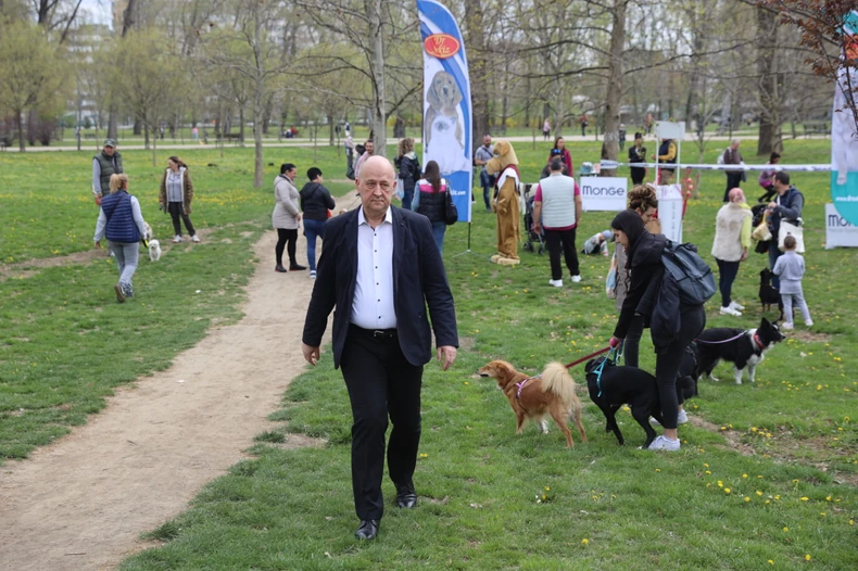 Izložba pasa mešanaca