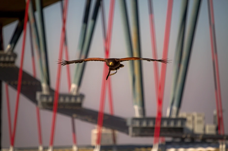 One se sjajno snalaze u urbanom prostoru