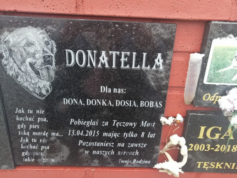 Donatella - cmentarz dla zwierząt w Szymanowie