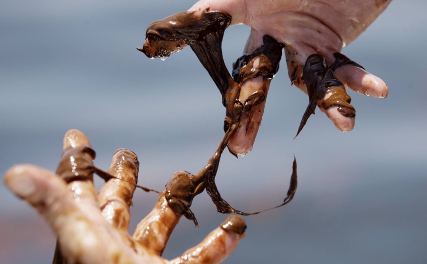 Američki ekolog Skot Porter skida naftu s prstiju nakon čišćenja obale od posledica ekološke katastrofe u Meksičkom zalivu