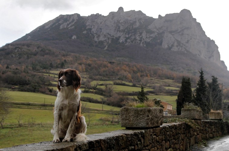 Pic de Bugarach we Francji - góra, na której przetrwasz koniec świata?