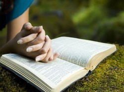 Pojedynek na miny atrakcją pikniku "Apetyt na Gombrowicza"