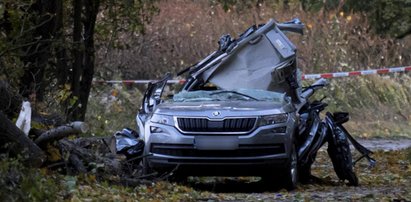 Drzewo przygniotło młodą parę z psem. Byli bez szans [ZDJĘCIA]