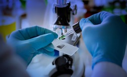 Hodowla u dentysty [EUREKA DGP]