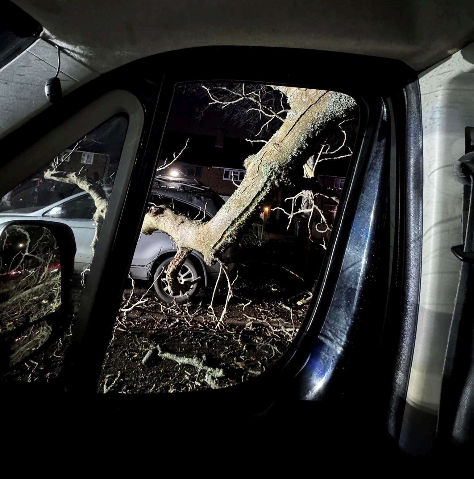 Strom mu spadol na čelné sklo priamo počas jazdy.