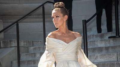 Celine Dion's condition is rare and currently has no cure [.Marc Piasecki/Getty Images]