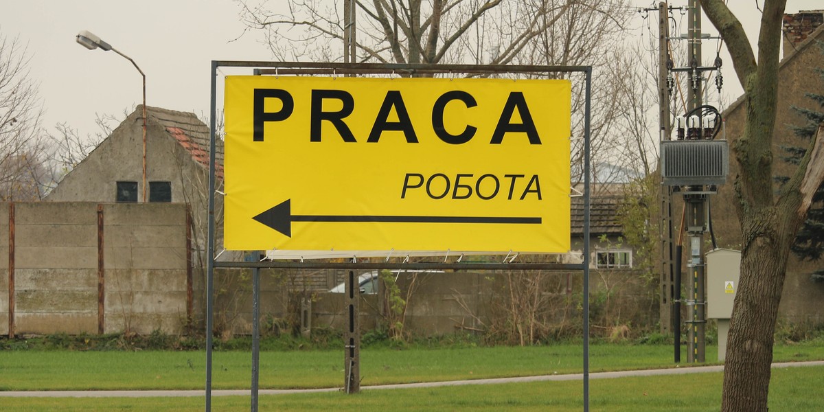 59 proc. Ukraińców pracujących w Polsce deklaruje, że po zmianie polityki migracyjnej w Niemczech wybrałoby pracę za Odrą