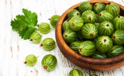 Zwalcza stres, poprawia trawienie: AGREST. 10 powodów, dla których warto go jeść