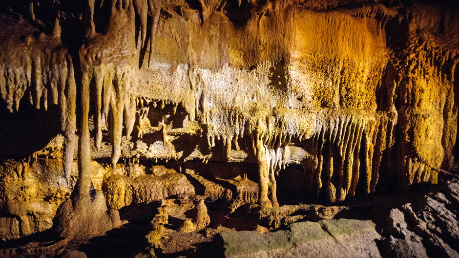Jaskinia Mamucia jest jeszcze większa, niż do te pory sądzono 