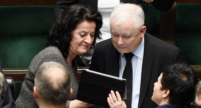 Najnowszy sondaż przed wyborami samorządowymi. PiS może zrobić wielkie oczy