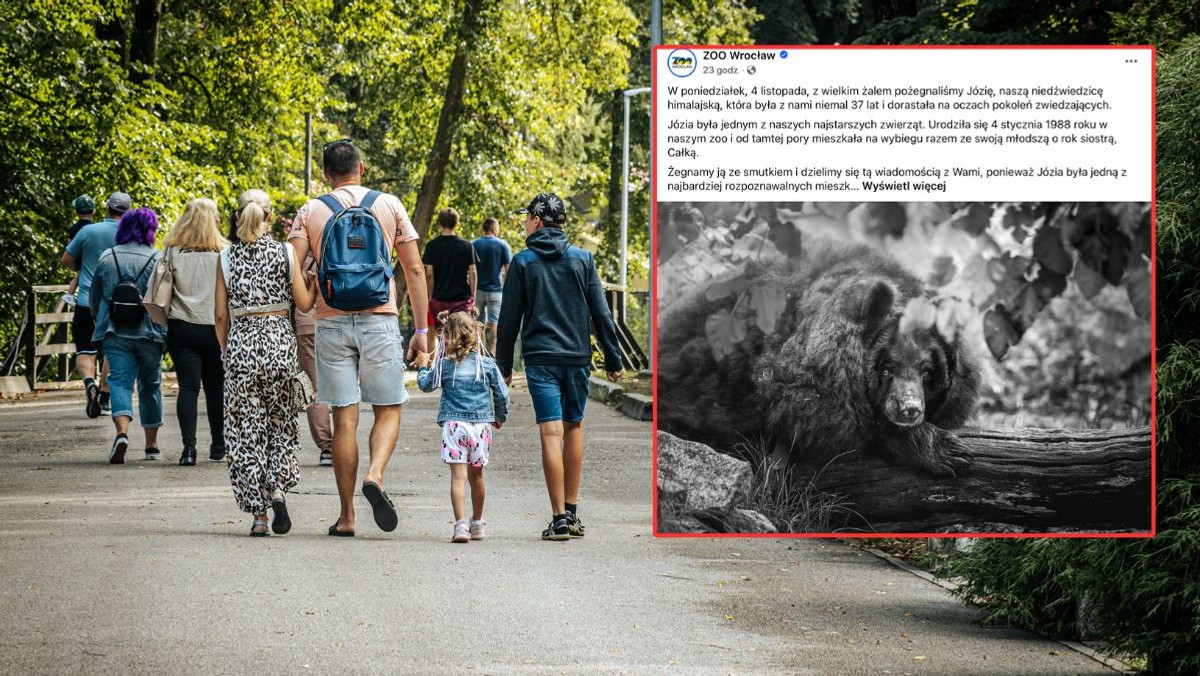  Zoo we Wrocławiu przekazało smutne wieści. "Żegnaj Józiu"