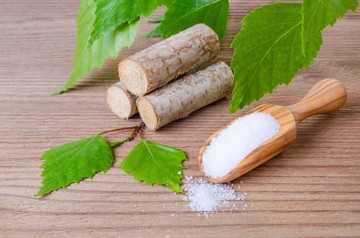 Ezt a 10 dolgot soha ne adja a kutyájának -a szőlő az egyik