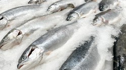 218 zł za godzinę pracy. Pracownicy z Polski w centrum uwagi