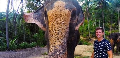 Słoń ukradł telefon i zrobił sobie selfie