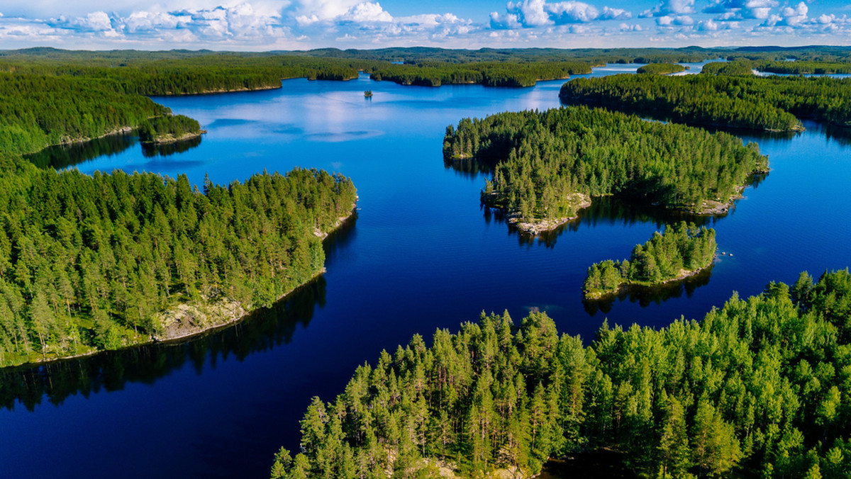 Finowie obliczyli ile CO2 pochłaniają drzewa