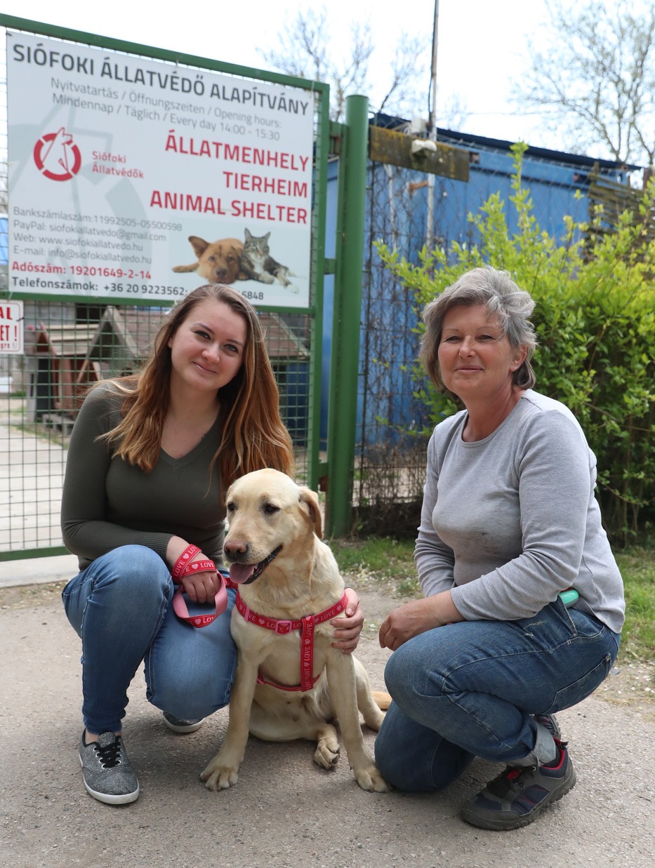 A gazdi, a kutyus és Vörös Zsuzsa, a menhely vezetője, aki visszaadta Katrint /Fotó: Pozsonyi Zita