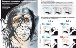 Człowiek pochodzi od małpy? Oto cała prawda