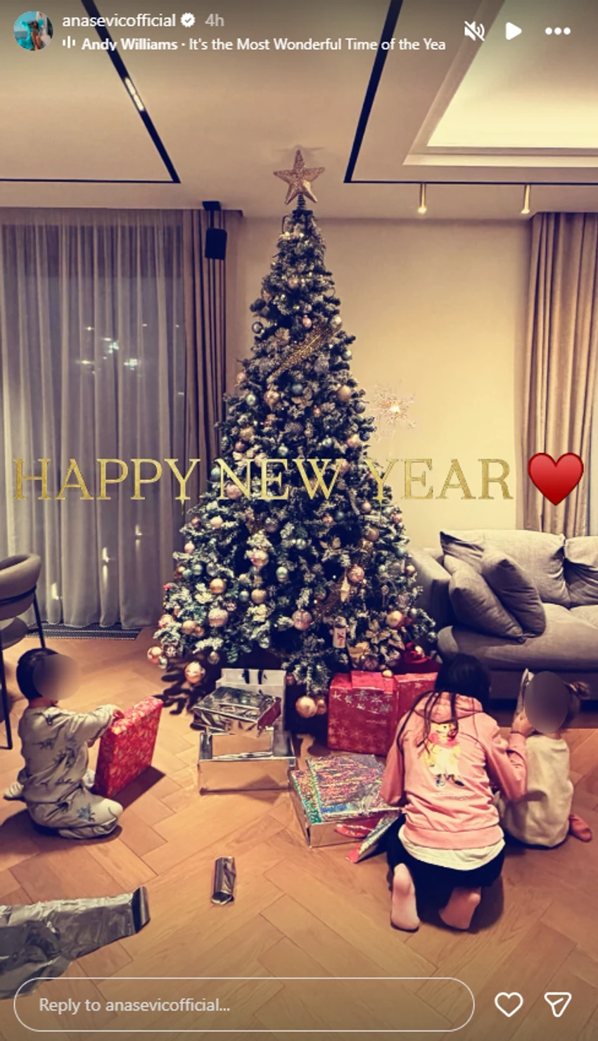 Ana Sević pokazala dom i decu