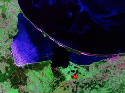 Symfonia piasku, wiatru i wody. Oto Mierzeja Kurońska