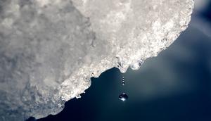A drop of water falls off an iceberg melting in the Nuup Kangerlua Fjord in southwestern Greenland, August 1, 2017.
