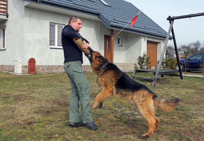 Pies Dikon odmaszerował na emeryturę