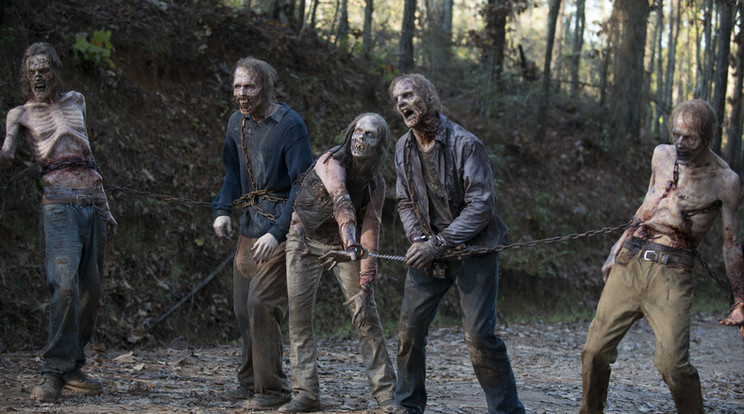 A The Walking Dead rajongói örülhetnek a hírnek