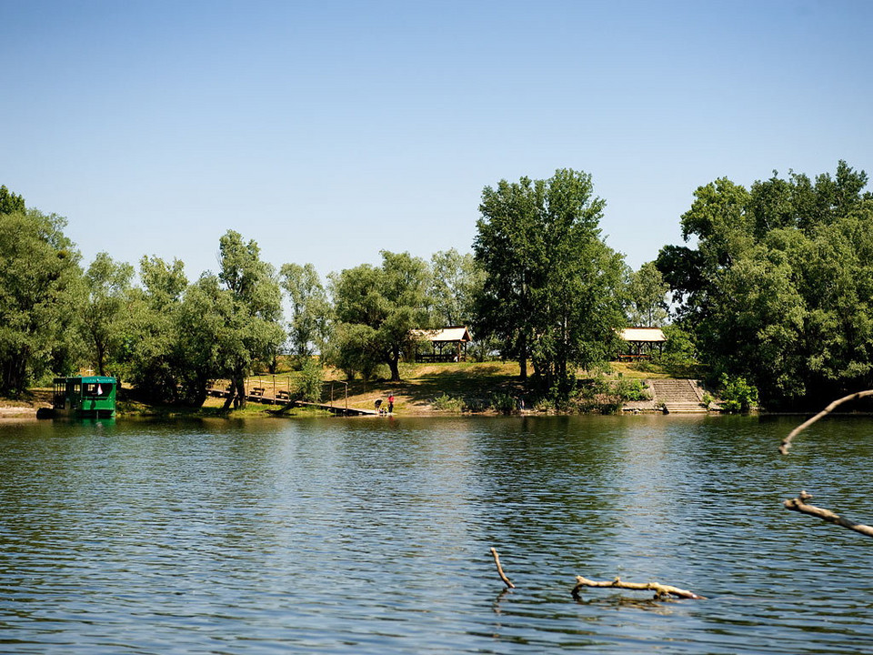 Park Krajobrazowy Kopački Rit w Chorwacji