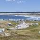 Cabo Polonio from above