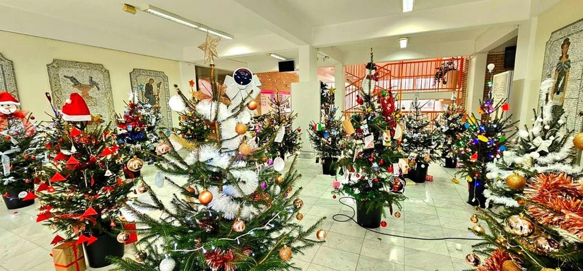 Profesori i đaci škole u Sopotu okitili su čak 19 jelki