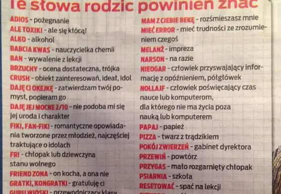 Słowniczek młodzieżowego slangu dla rodziców rozbawił internautów. Zobacz, JAK NIE MÓWIĄ młodzi