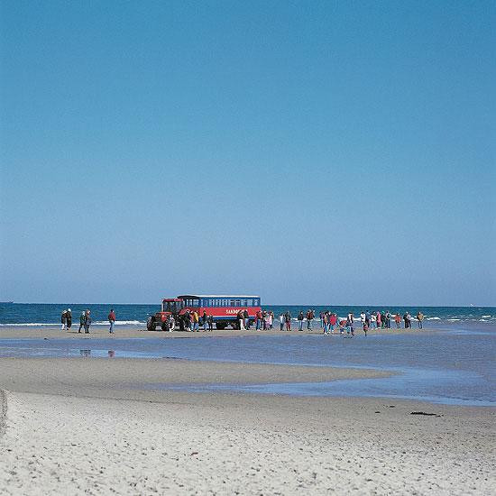 Galeria Dania - Skagen, obrazek 12