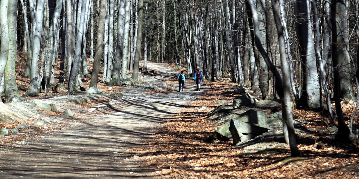 Przełęcz Tąpadła