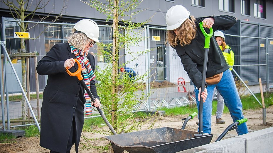 źródło: Zarząd Zieleni Warszawy