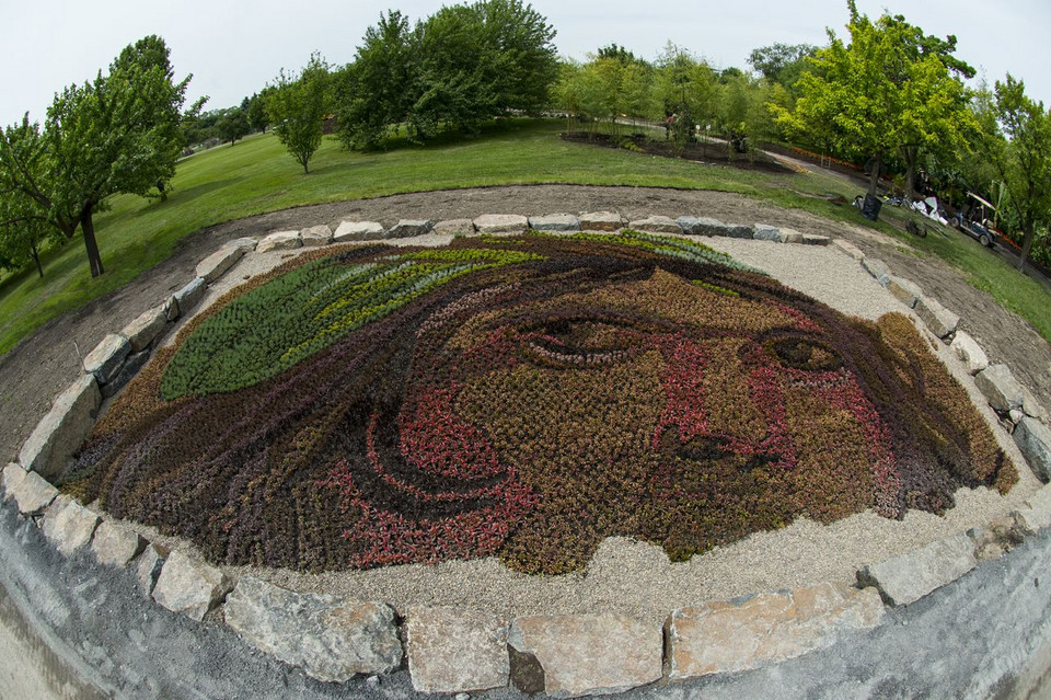 fot. Guy Boily/Montreal International Mosaicultures 2013 Show Exhibition
