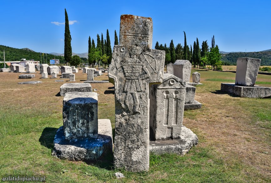 Stecci / nekropolia Radimlja, Stolac