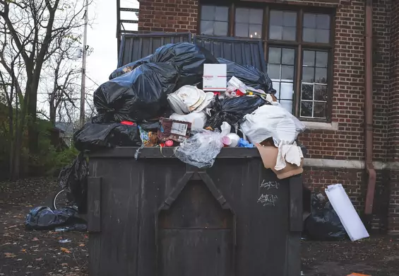 Świat Bez Odpadów - Drażnią cię śmieci w okolicy? Oto, co możesz z nimi zrobić