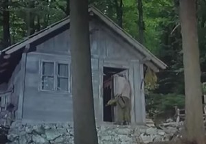 Ptice koje ne polete