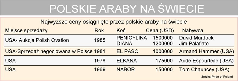 Polskie Araby na świecie