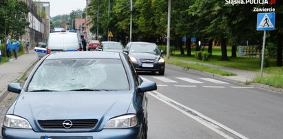 Wyszedł zza żywopłotu. Walczy o życie