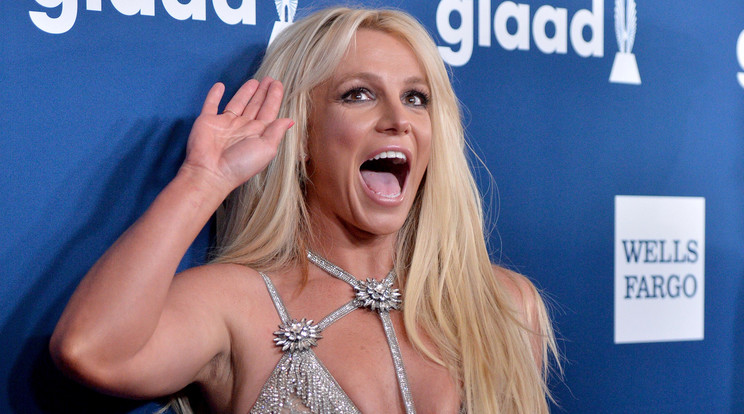 Britney Spears családja állítása szerint keményen kábítószerezik / Fotó: Northfoto