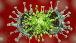 "Obecny subwariant koronawirusa spokojniejszy, ale bardzo zaraźliwy"