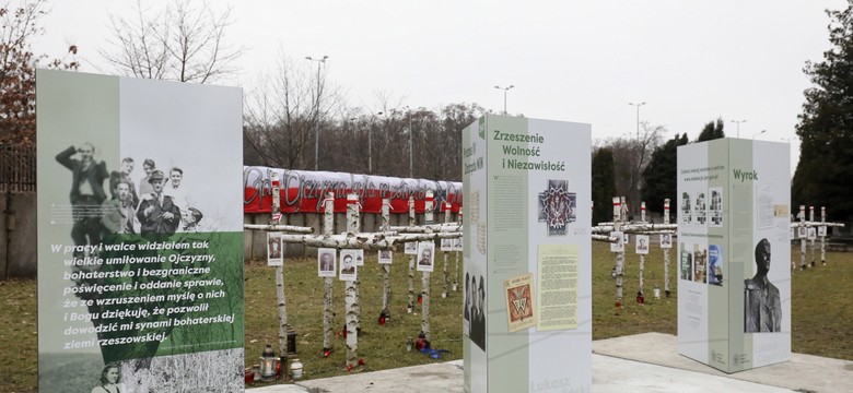 "Trzeba wywłaszczyć Powązki Wojskowe na rzecz Skarbu Państwa. Władze Warszawy sobie nie radzą"