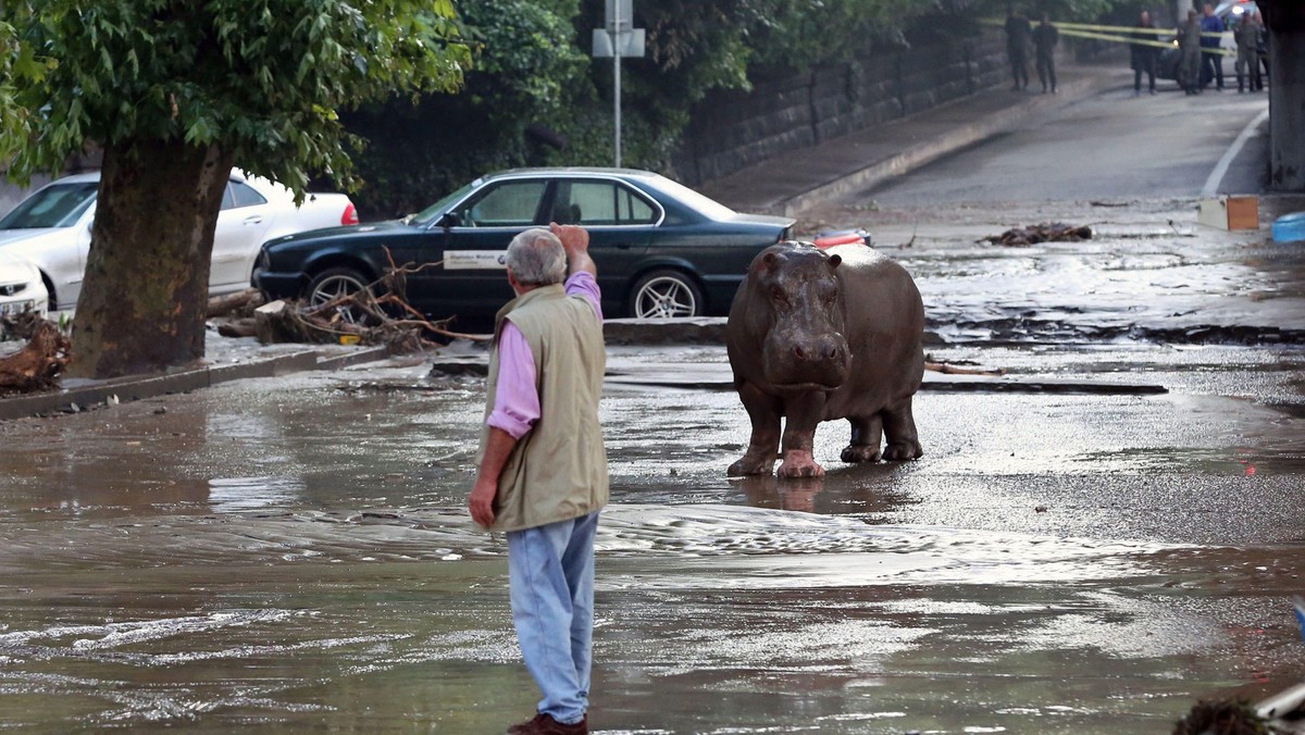 GEORGIA FLOOD