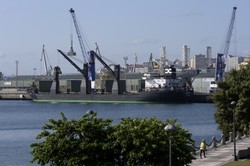 Ze Świnoujścia do Hiszpanii. Transport kukurydzy z Ukrainy ominął rosyjskie blokady