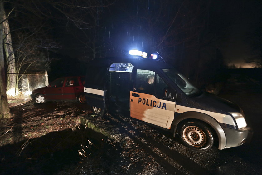 Wilczur wskoczył mu do auta. Zadzwonił po policję