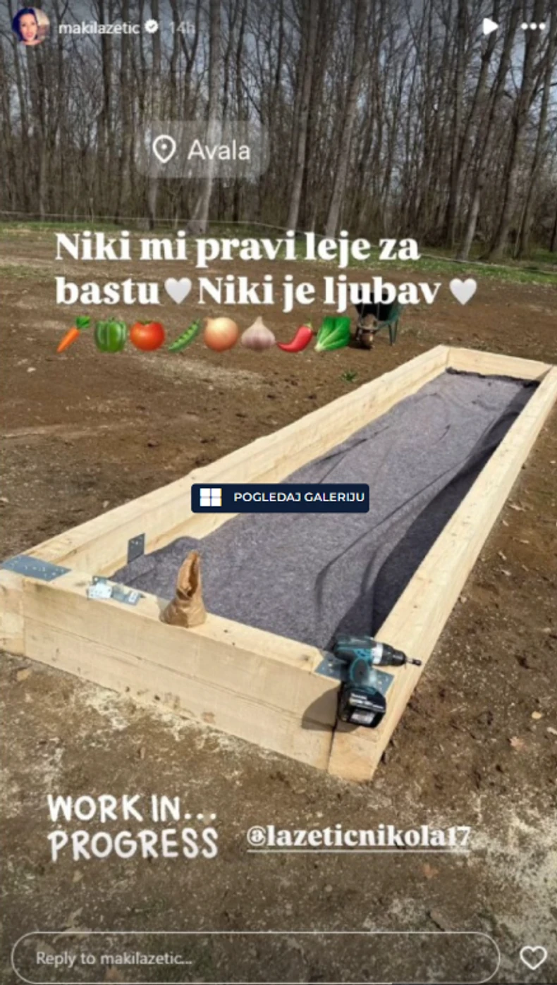 Objava Sonje Lazetić